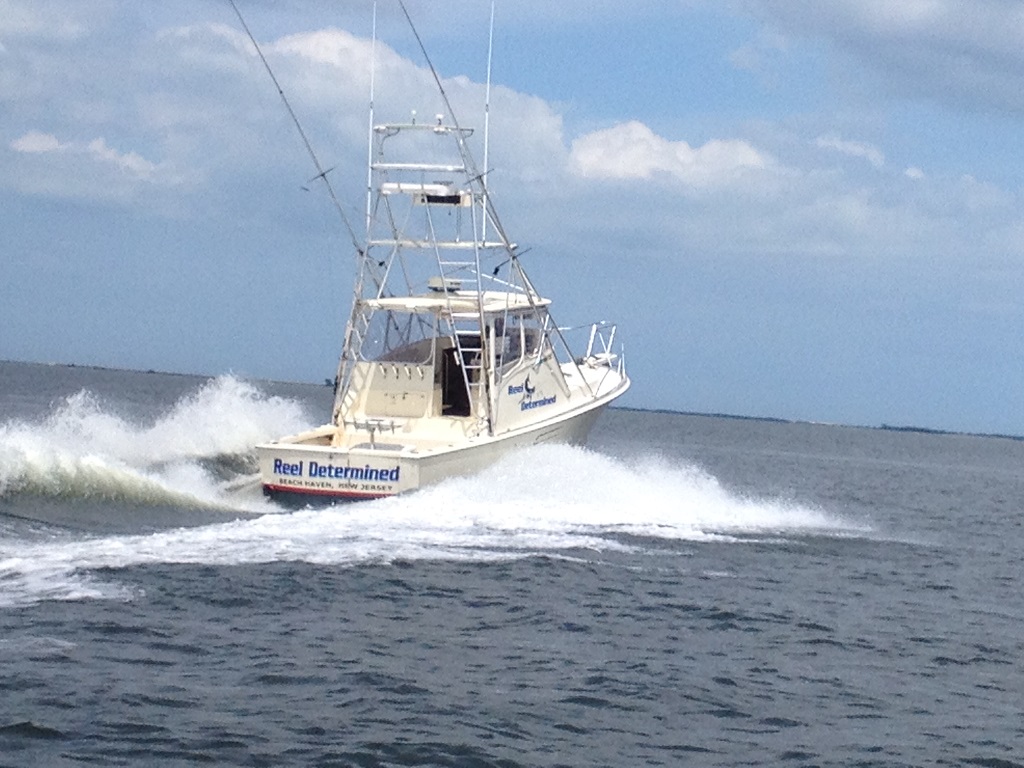 Our Vessels Reel Determined LBI Beach Haven Fishing Charters